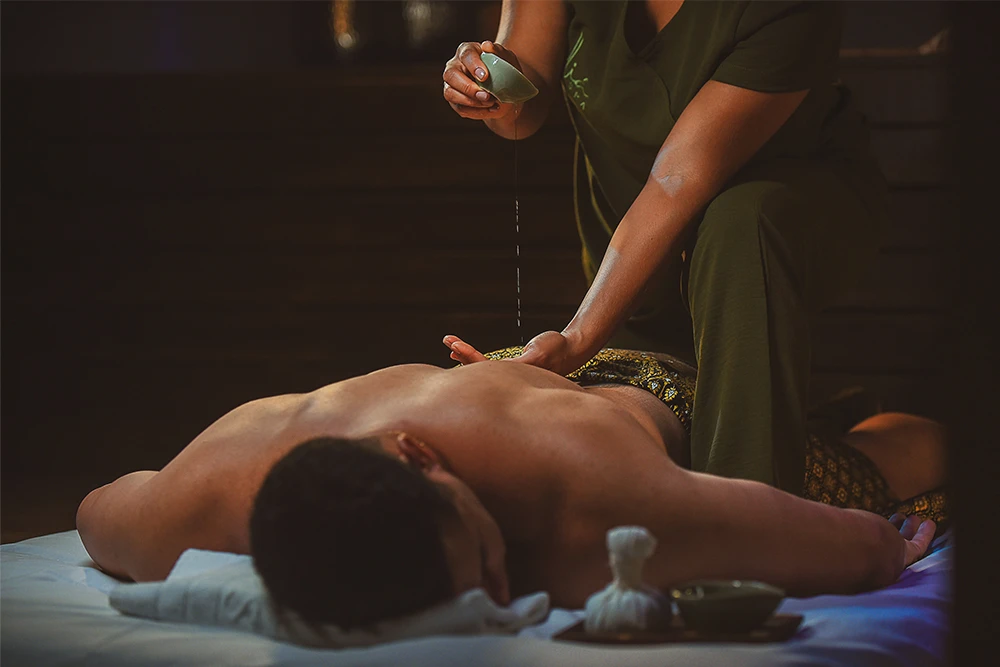 Ayurvédica Modulos Extras